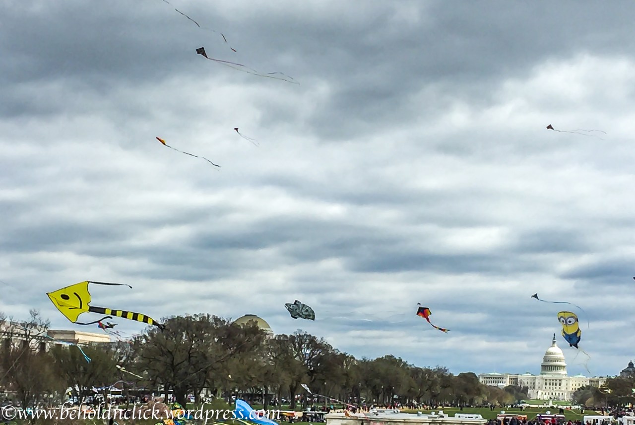 Kites-4