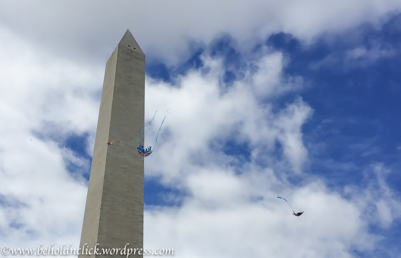 Kites-6