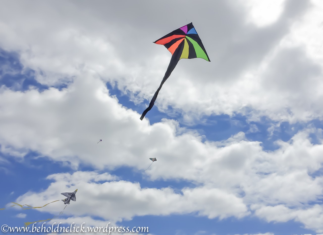Kites-7